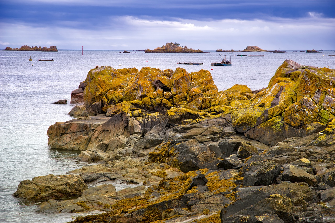 landscape-4424547_1280.jpg
