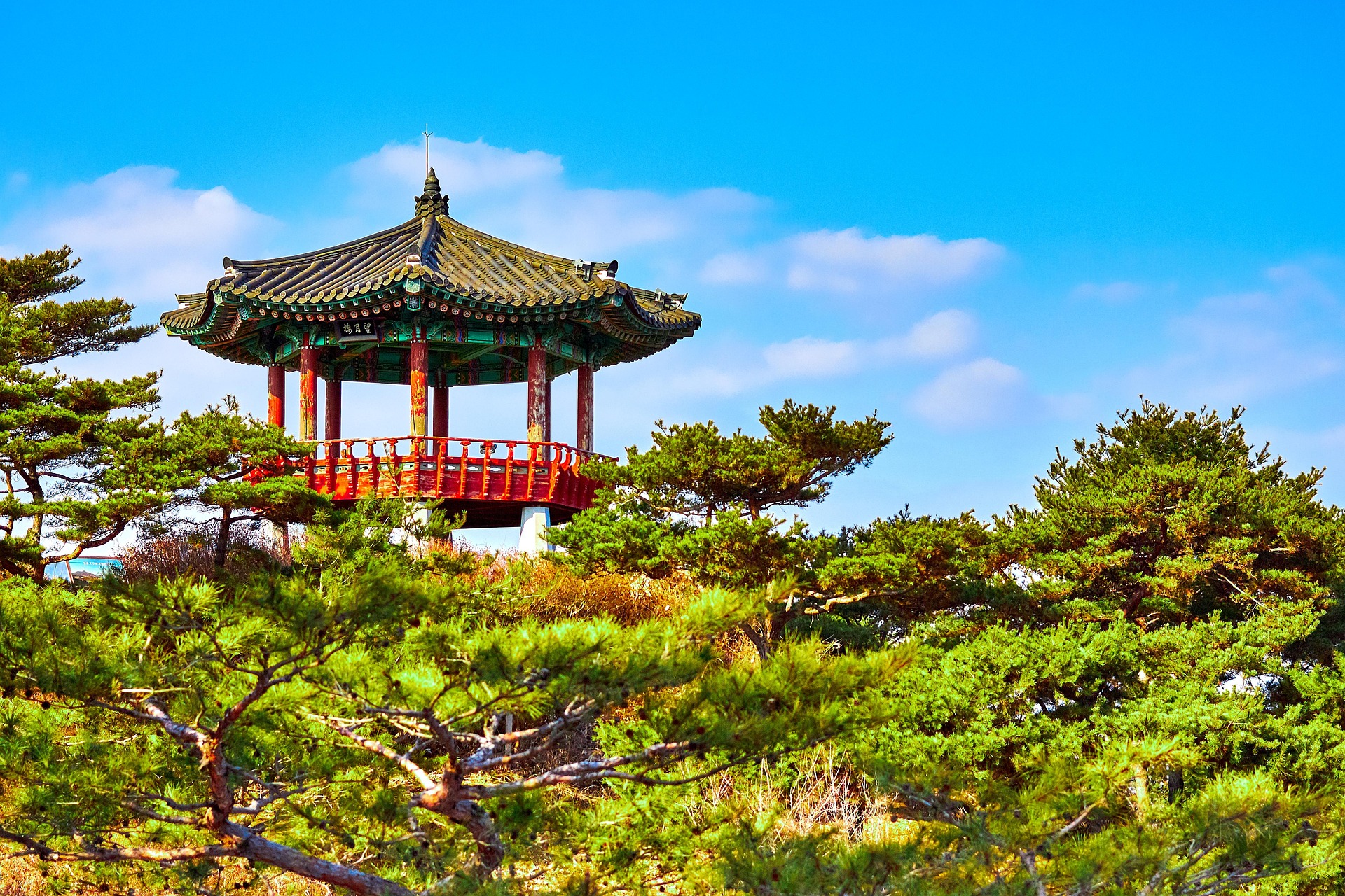cadop-korea-3604156_1920.jpg
